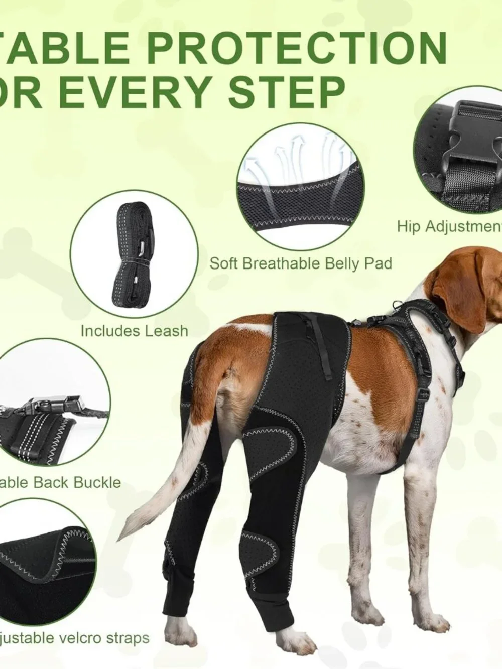 Dog ACL Knee Brace with Cruciate Ligament Injuries
